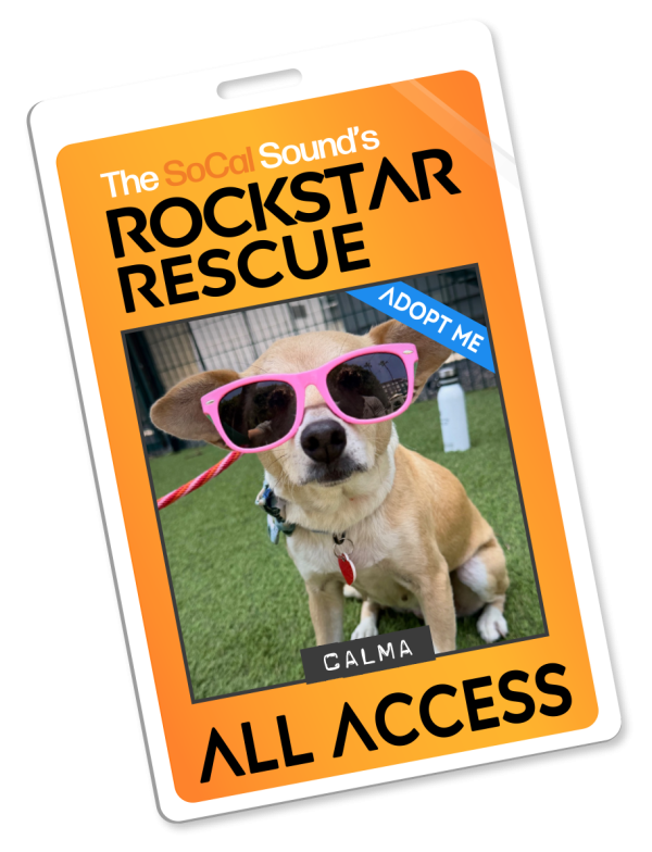KCSN RockstarRescue PotW 060326 Pass