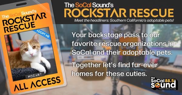 KCSN RockstarRescue PotW 011426 CreateOutlines FACEBOOK 1200x630