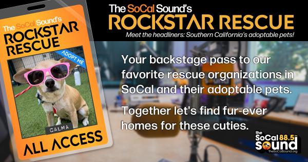 KCSN RockstarRescue PotW 060326 CreateOutlines FACEBOOK 1200x631