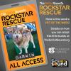 ROCKSTAR RESCUE PET OF THE WEEK - DARWIN!